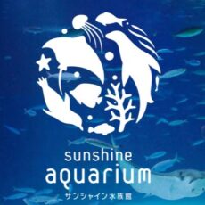 サンシャイン水族館バレンタイン2017！混雑予想と穴場ポイントを解説！