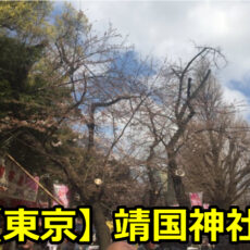 靖国神社の桜祭りの露店や出店がやっている期間と時間は？